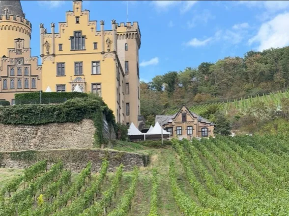 Weinberge unterhalb von Schloss Arenfels in Bad Hönningen